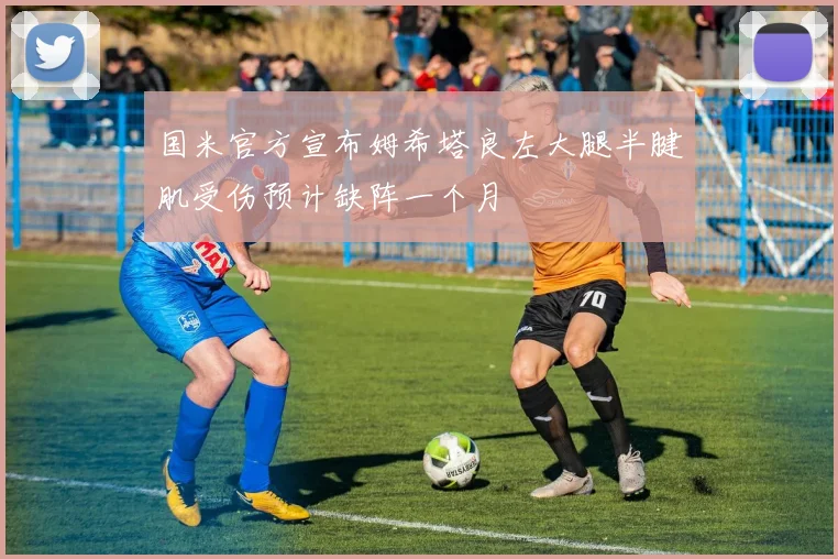 国米官方宣布姆希塔良左大腿半腱肌受伤预计缺阵一个月